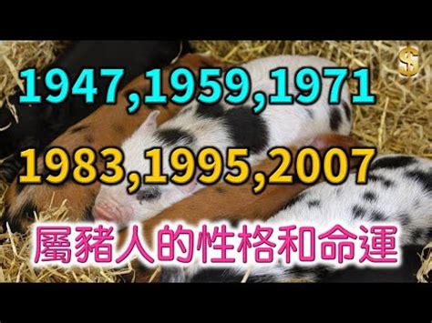 屬豬房子座向|【屬豬坐向】揭秘！屬豬最佳住房坐向，旺運又聚財！